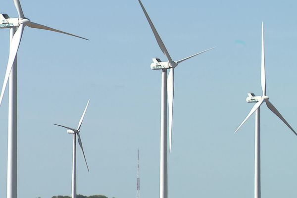 Eoliennes installées dans la Vienne.