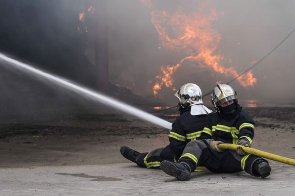 Un incendie a ravagé un bâtiment agricole à Autry-Issards (Allier), plus de 400 porcs ont péri dans les flammes. 