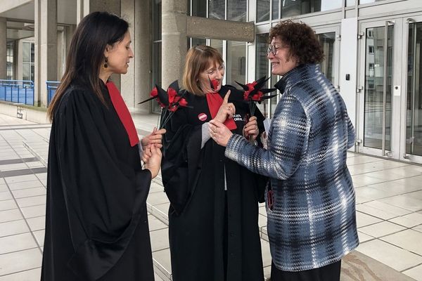 Au Palais de Justice de Clermont-Ferrand, les avocats en grève ont offert des roses à leurs collègues magistrats en signe d'apaisement. 