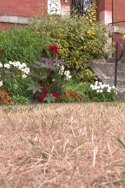 A Ligny-le Ribault, l'herbe a jauni en raison de l'arrêt de l'arrosage.