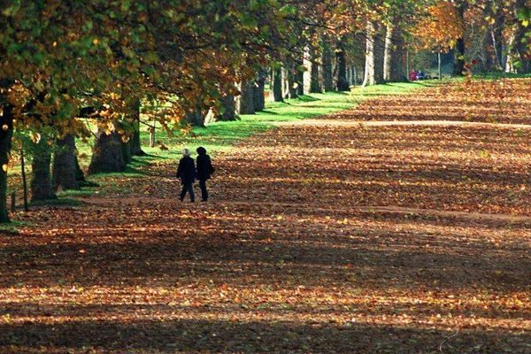 Couleur d'automne ce dimanche