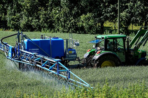 20 communes en France ont pris des arrêtés pour interdire l'usage total ou partiel du glyphosate sur leur territoire. 