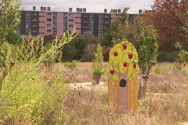 Les mosaïques d'Aziz Chemingui s'invitent dans les quartiers populaires de Grenoble.