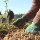 “On est tous ensemble, y’a une très bonne ambiance et on a tous l’impression de faire quelque chose d’important” Un bénévole des Jeunes gardiens de la forêt participe à un chantier de plantation d'arbre à Millac, dans la Vienne, le 15 novembre 2024.