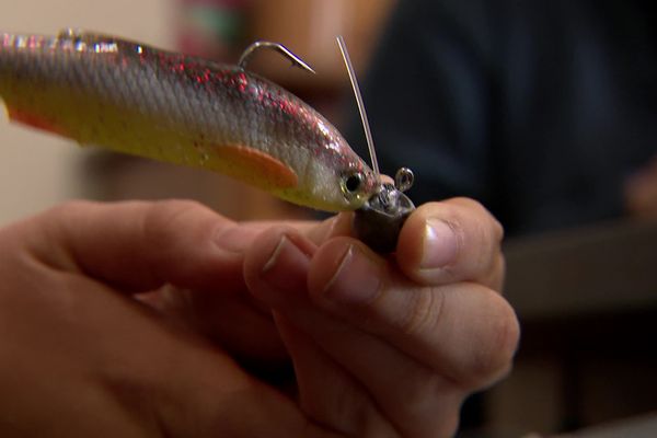 La saison 2024 de la pêche en rivière s'étend du 9 mars au 15 septembre.