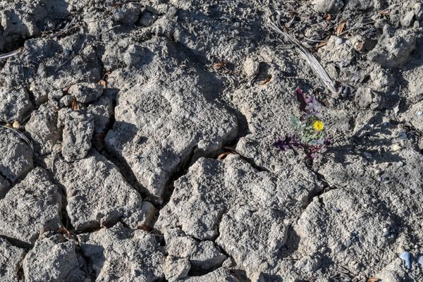 L'état de catastrophe naturelle pour sécheresse a déjà été reconnu pour la commune de Besançon en 2018, 2019, 2020 et 2022