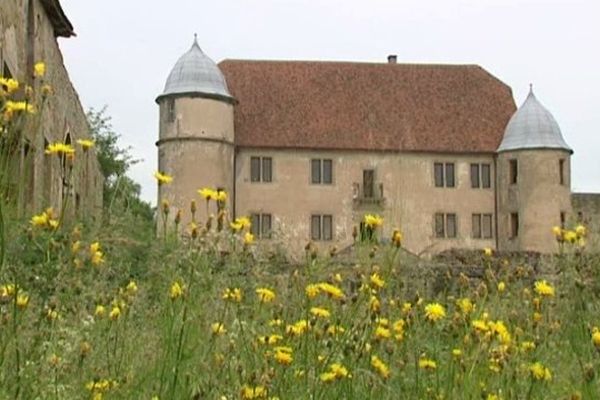 Le château de Diedendorf.