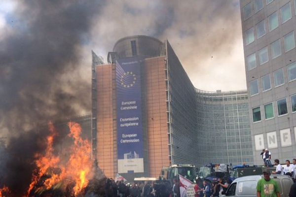 Les agriculteurs normands au coeur de la colère agricole à Bruxelles.