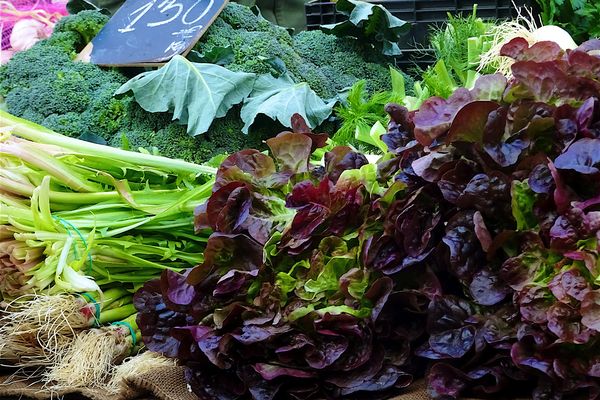 Des légumes cultivés en Espagne. (photo d'illustration)