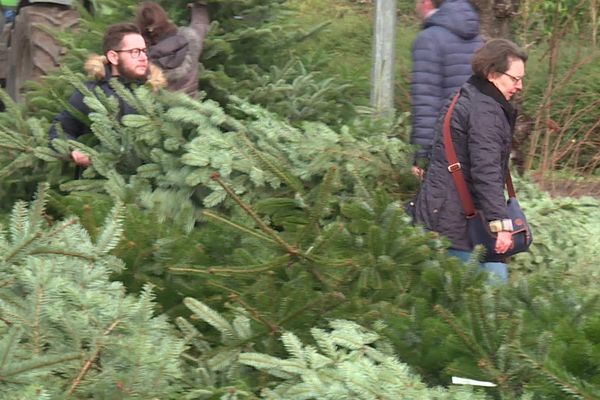 Dans le Rhône, les clients restent fidèles aux producteurs locaux pour l'achat de leur de sapin de Noël.