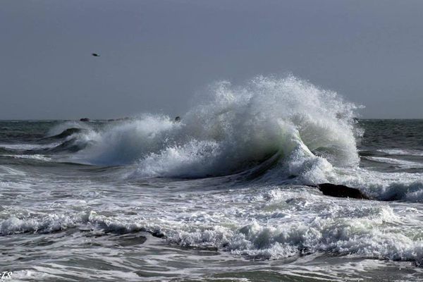 Vague à Lesconil