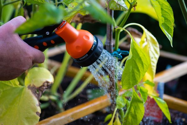 Avec le passage en vigilance sécheresse, il est demandé de limiter l'arrosage des jardins dans la Manche