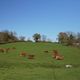 À Saint-Martial-le-Mont, en Creuse, le circuit de récupération d'eau de pluie se termine par un abreuvoir. Celle-ci est mise à la disposition d’un agriculteur pour le bétail.