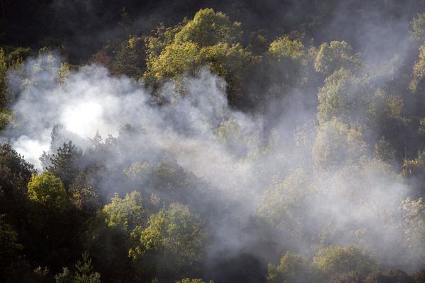 Un feu s'est déclaré à proximité de la D129 sur la commune de Frontignan ce mardi 27 juin après-midi.