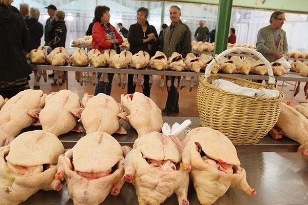 Marché au gras de Samatan (Gers)