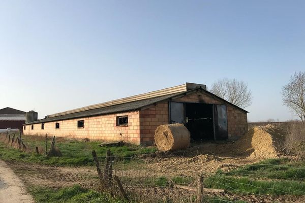 Ain : incendie dans deux poulaillers industriels à Chanoz-Châtenay, près de Bourg-en-Bresse (04/03/21)