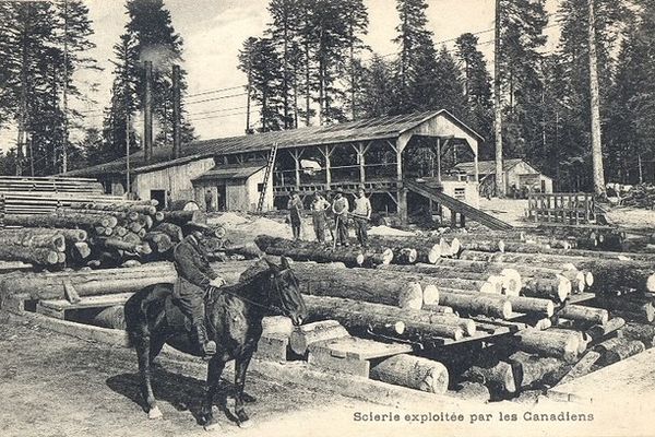 5 scieries furent construites par les Canadiens dès 1917 en pleine forêt de Joux afin d'exploiter le bois du massif, utilisé pour renforcer les tranchées.