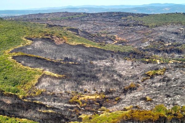 Gignac (Hérault) - le feu a détruit 1.000 hectares de pinède et de végétation, sur le plateau d'Aumelas, souvent en zone Natura 2000 - 27 juillet 2022.