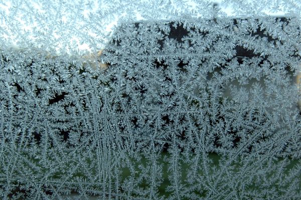 Le retour des gelées est attendu pour cette nuit en Poitou-Charentes.