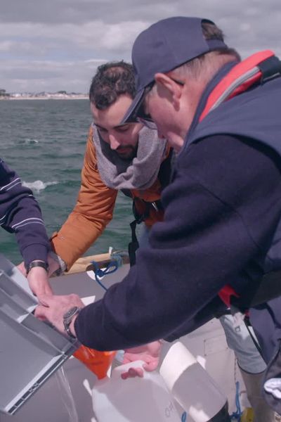 Au côté de plaisanciers en rade de Lorient, Félix Urvois participe à une journée de prélèvement d'eau de mer pour le programme Objectif plancton.