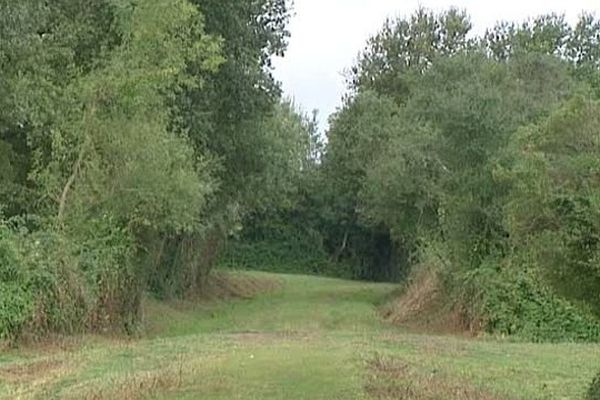 Une ancienne voie ferrée est transformée en piste cyclable : la Voie Verte bressane ira d’Ouroux-sur-Saône à Saint-Germain-du-Plain, avant de relier un jour la Bourgogne au Jura.