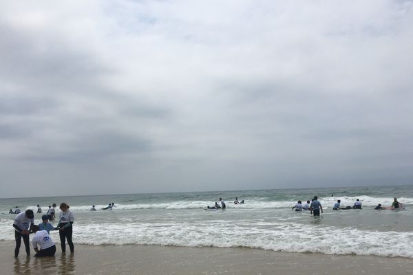 Sur la plage de Lacanau, les enfants se jettent à l'eau. 