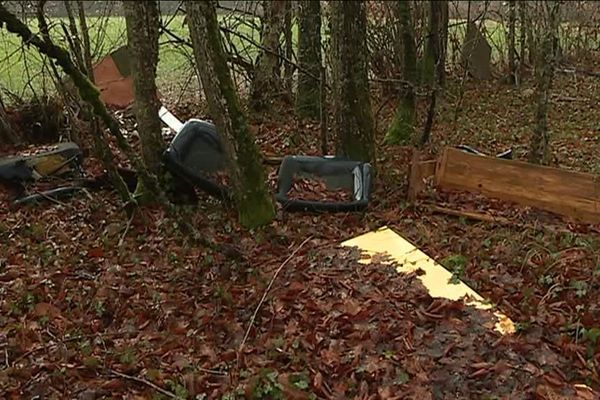 Les décharges sauvages sont nombreuses dans les forêts 