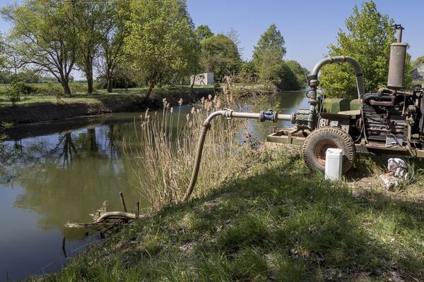 Les prélèvements d'eau sont limités depuis le 7 juillet. 