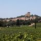 Comme l'ensemble de la filière, les vins de Chateauneuf-du-Pape sont confrontés à un contexte difficile qui impacte les ventes depuis plusieurs années.