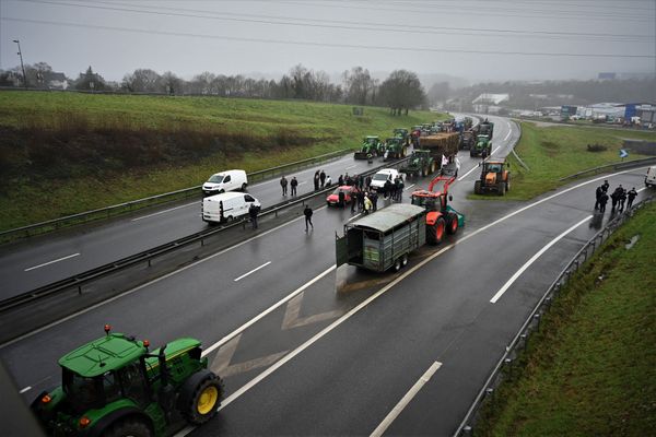 Trafic en direct. Rocade occupée, routes coupées, bouchons, où sont les barrages des agriculteurs en colère ce 1er février