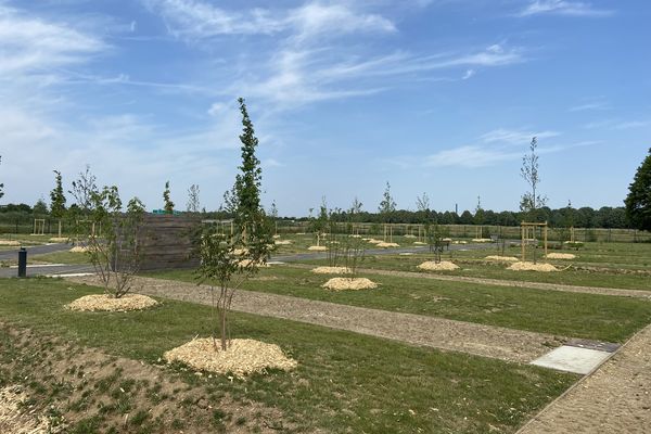 Les tombes sont construites au milieu de la végétation