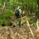 Balade en forêt du Mervent