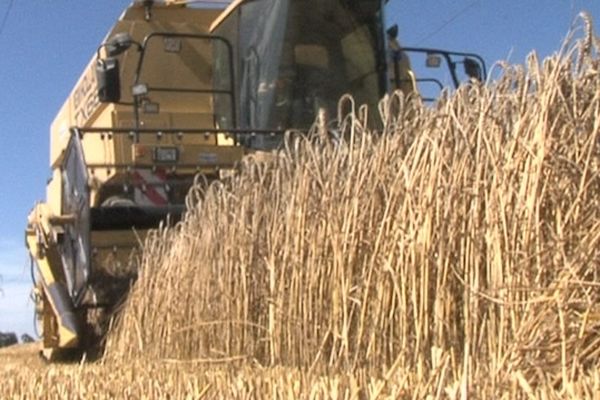 Eric Lemétayer, agriculteur à côté de Rennes, en pleine moisson