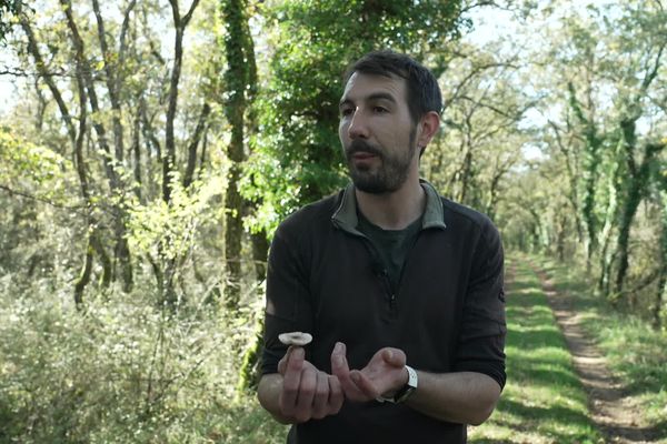 Simon Thubé présente une partie d'un champignon récolté en forêt.