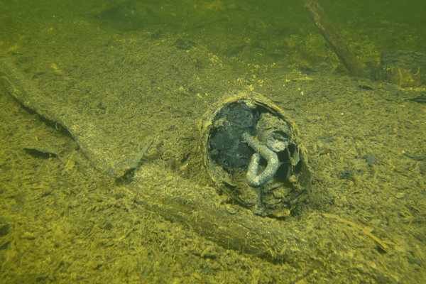 Une munition présente dans le fond du lac de Gérardmer photographiée dans le cadre de l'émission Vert de rage sur France 5.