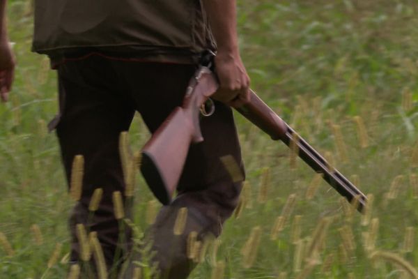 Le 8 septembre, la saison de chasse a démarré.