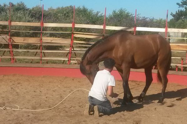 Manu à la baguette pour coucher le cheval d'une star