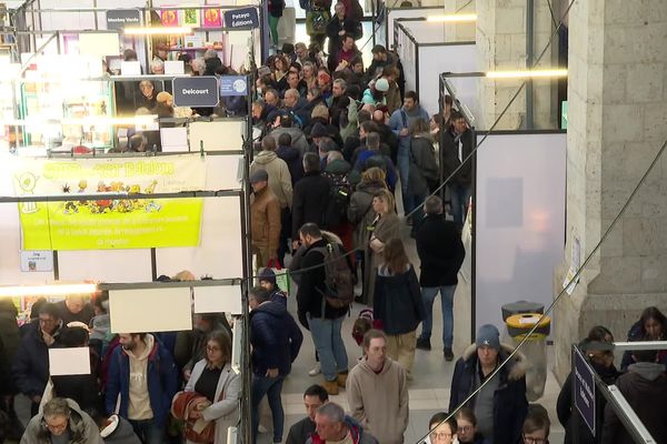 Chaque année, plus de 20 000 visiteurs viennent à la rencontre des 200 auteurs et 70 exposants du festival bd Boum.