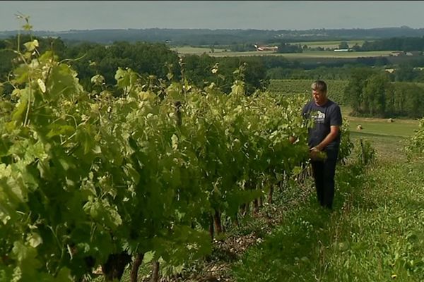 Christophe Charrier, viticulteur à Val des Vignes en Charente, multiplie les pratiques écologiques dans ses parcelles;