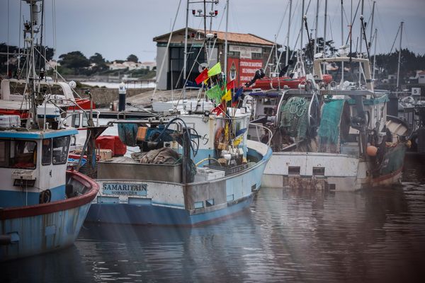 Les pêcheurs vendéens s'attendent chaque année à une baisse du quota sur le poisson.