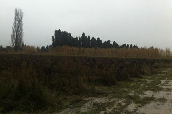 Le lieu où a été retrouvé le corps près du canal à la sortie de Beaucaire dans le Gard