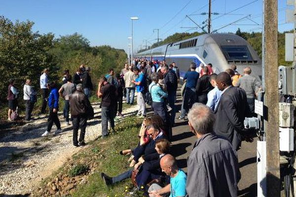 Un TGV évacué à cause d'une odeur suspecte... de viande fermentée :