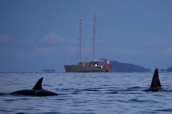 Le navire océanographique "Persévérence" de Jean-Louis Etienne en escale à Saint-Malo après sa mission dans le nord de la Norvège pour étudier la migration de certaines espèces marine.