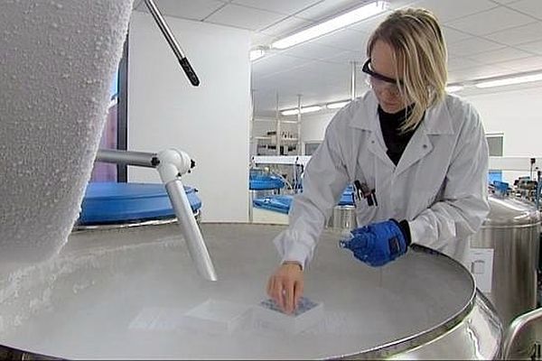 Le Centre de ressources biologiques de Dijon stockent des milliers d'échantillons dans une quarantaine de cuves par - 196°.