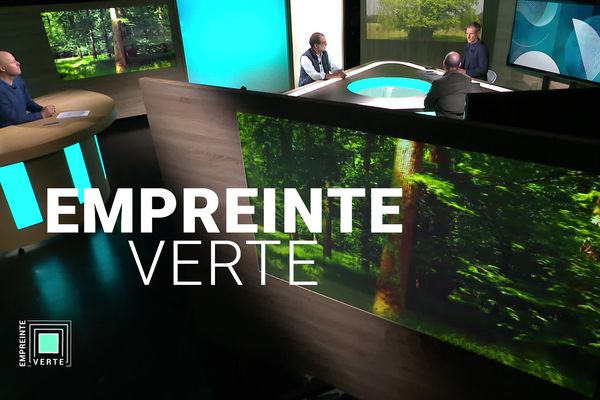 Stéphane Usciati, Fabrice Fenouillière et leurs invités nous font découvrir l'univers des arbres et des forêts en Corse.