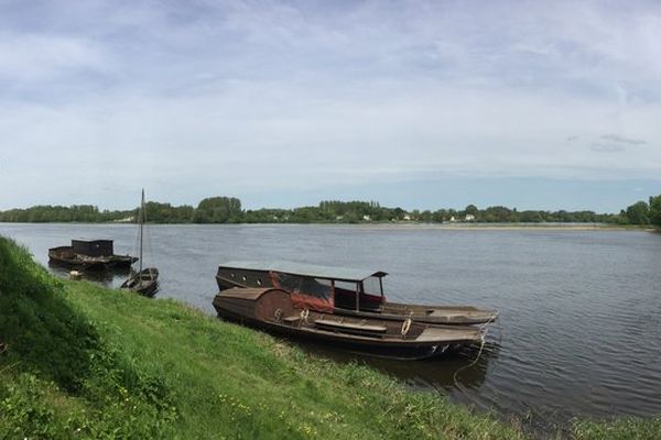 La Loire et la Vienne à Candes-Saint-Martin