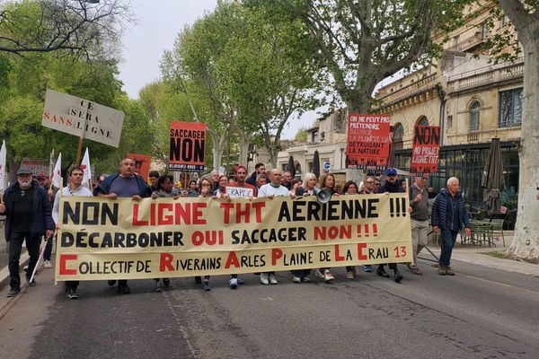 Près de 400 personnes ont battu le pavé ce dimanche 7 avril , pour dénoncer le projetr de ligne aérienne à très haute tension qui doit traverser des espaces naturel entre la Camargue et le Gard.
