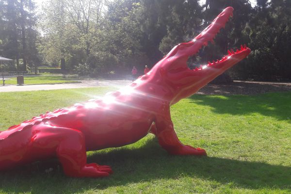 Pas de larme de crocodile pour le soleil ce lundi !