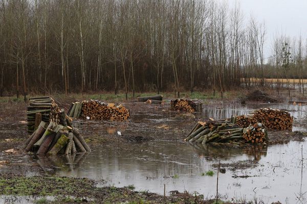 De la pluie du vent, la Vendée est placée en alerte jaune inondation ce 26 novembre