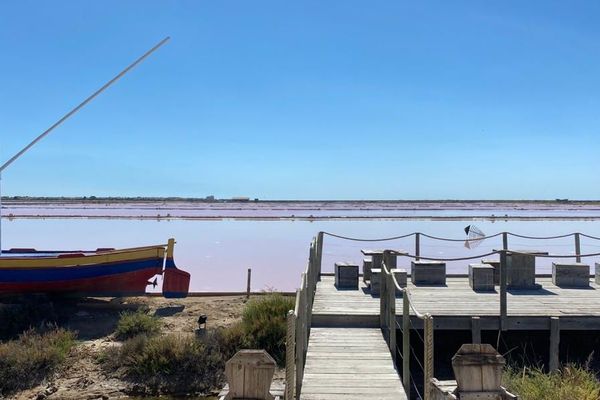 Gruissan (Aude) - Les salins s'étendent sur 400 hectares de nature - 30.06.2020